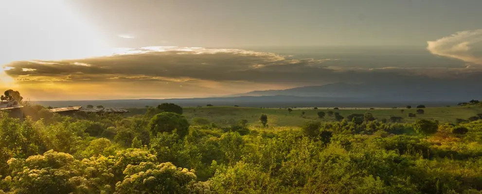 Uganda Banner