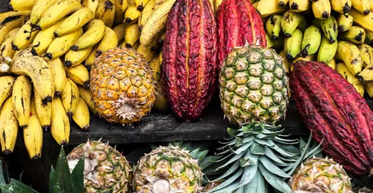 Ecuador Fruit