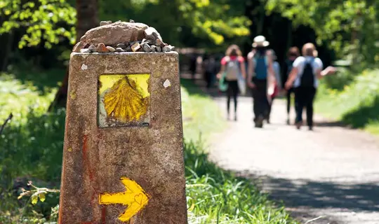 Camino De Santiago